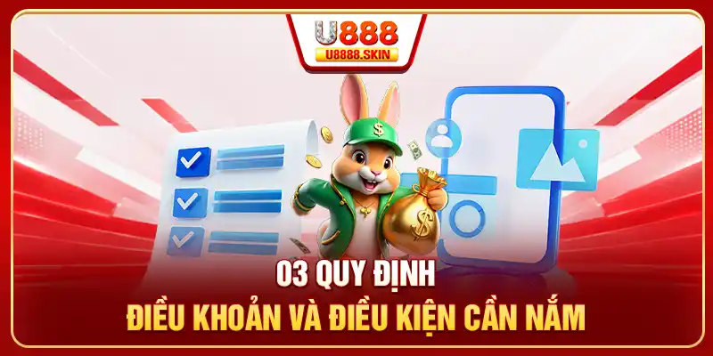 03 quy định điều khoản và điều kiện cần nắm