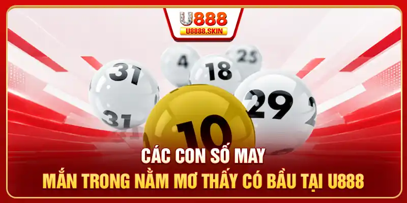 Các con số may mắn trong nằm mơ thấy có bầu tại U888