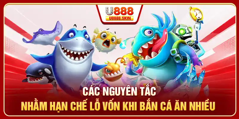 Các nguyên tắc nhằm hạn chế lỗ vốn khi bắn cá ăn nhiều 