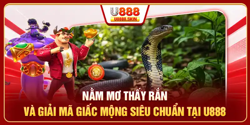Nằm Mơ Thấy Rắn Và Giải Mã Giấc Mộng Tâm Linh Siêu Chuẩn