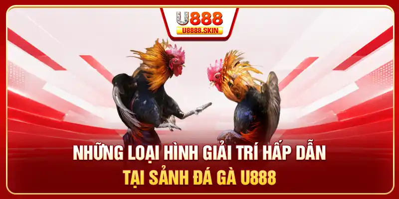 Những loại hình giải trí hấp dẫn tại sảnh đá gà U888