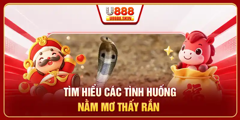 Tìm hiểu các tình huống nằm mơ thấy rắn